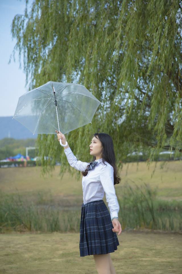 作品图 6