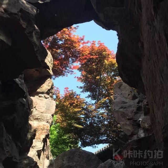 作品图 6