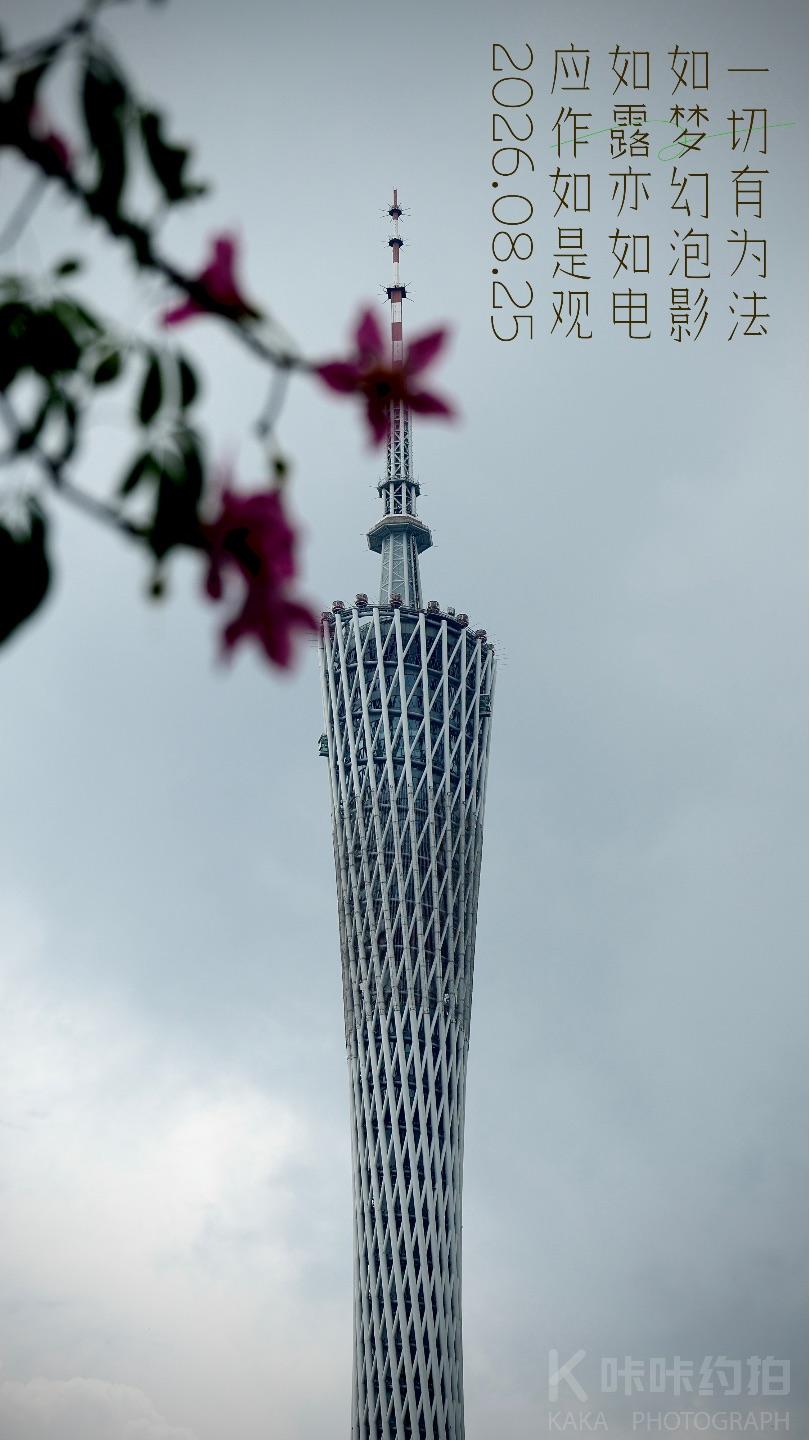 作品图 2