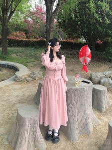 牡丹花