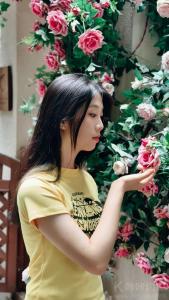 会飞的鱼粉