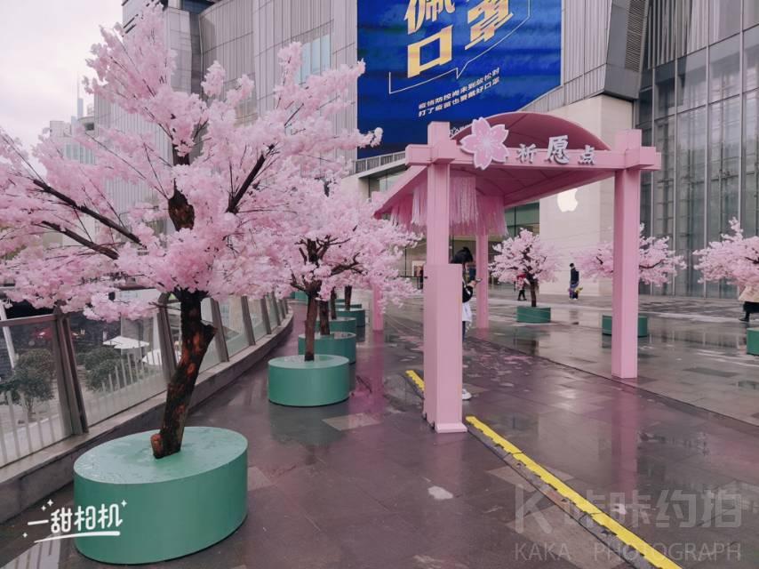 场地图 2