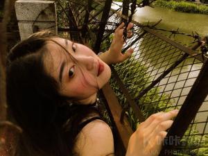 告春岛