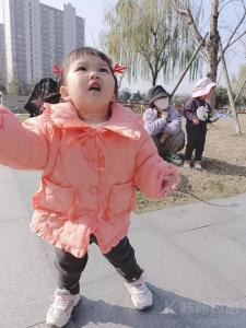 落花