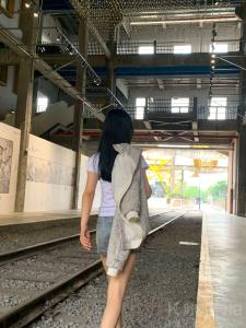 会飞的鱼粉