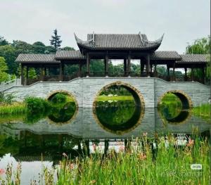 麦吉