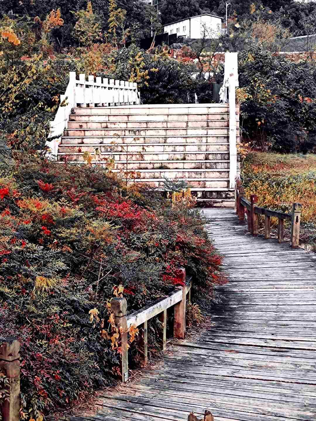 场地图 6