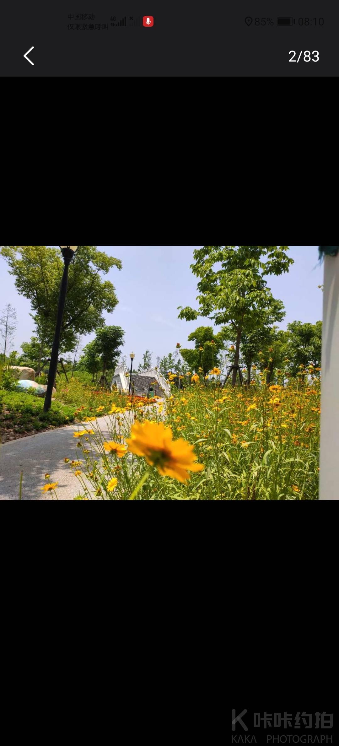 场地图 5
