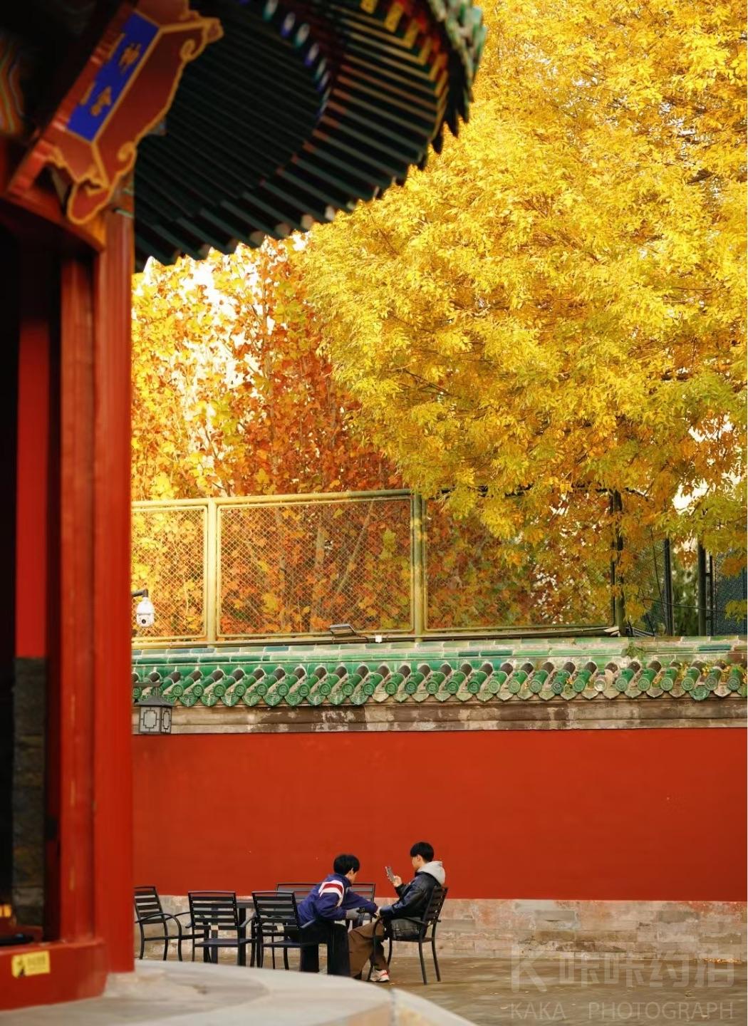 作品图 5