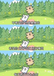 王小哈