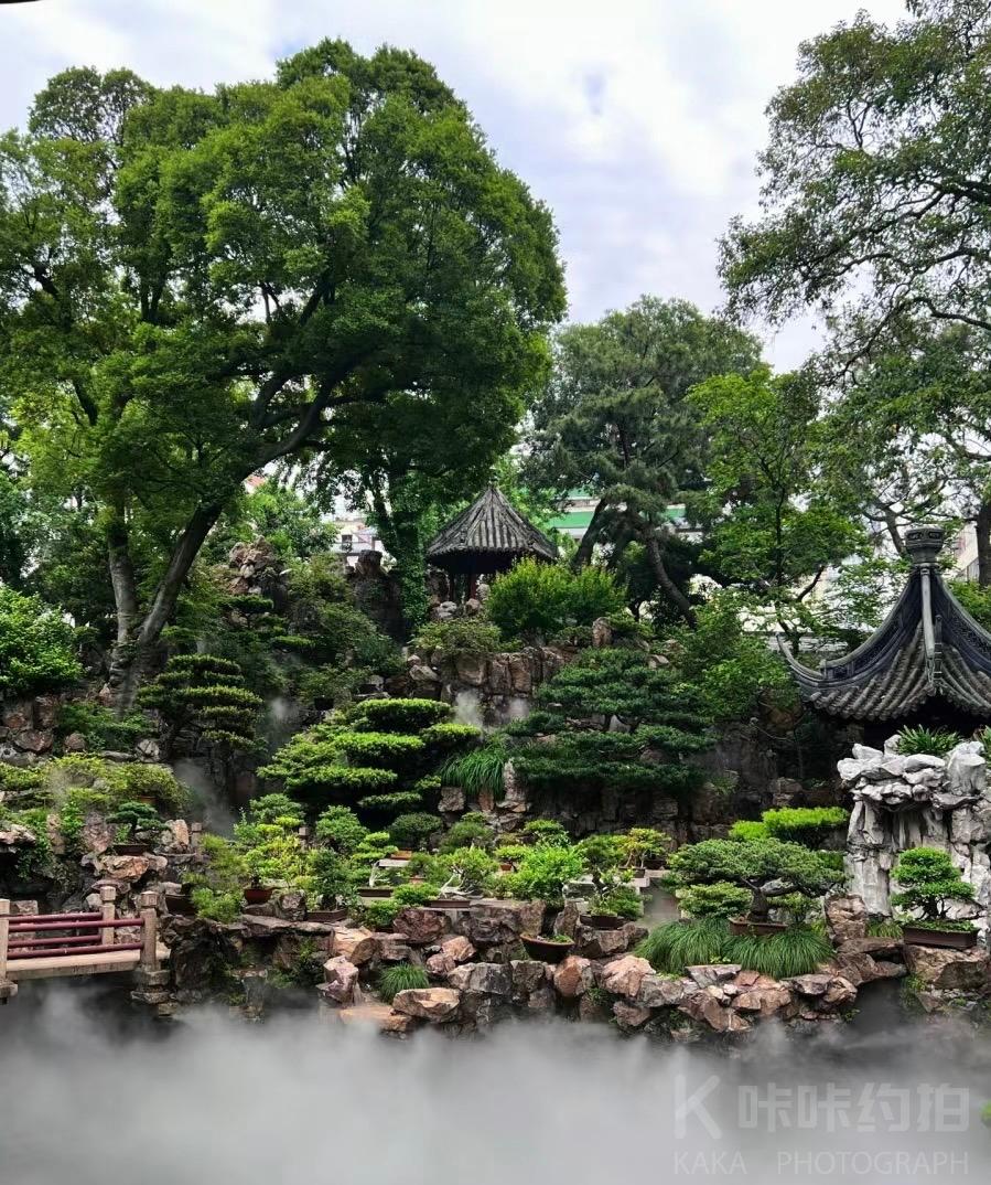 场地图 4