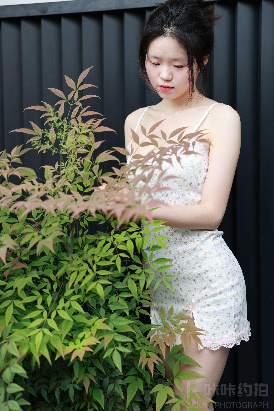 作品图 4