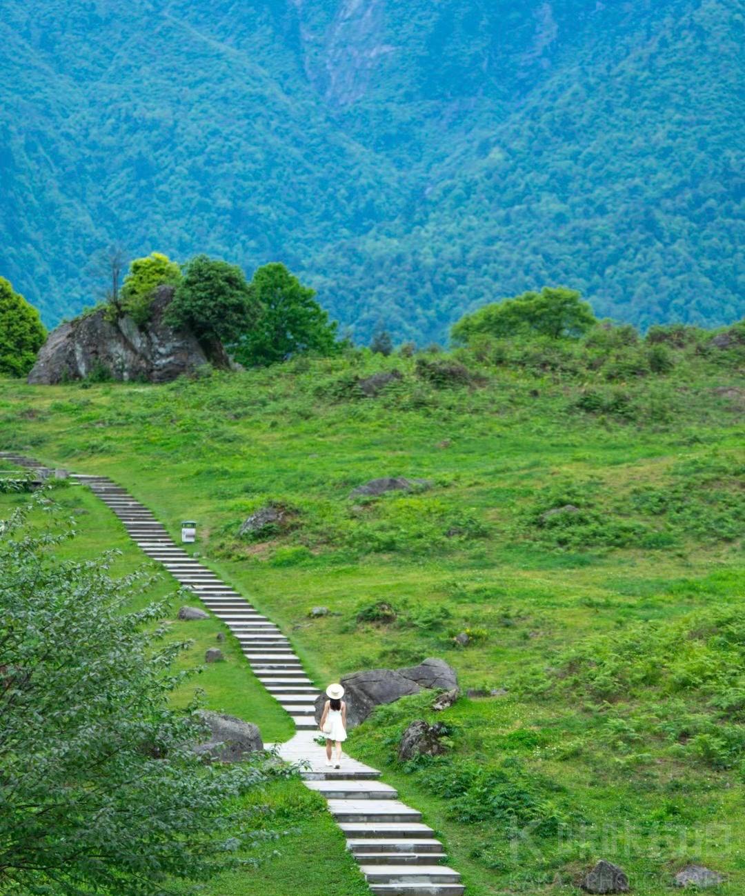 场地图 2