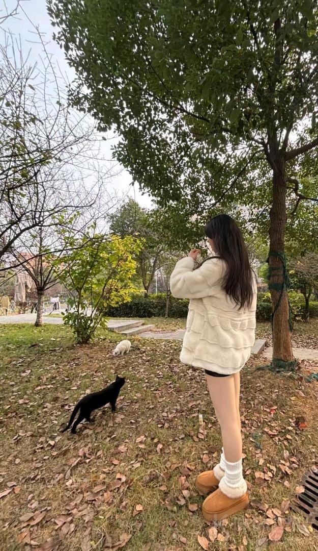 作品图 1