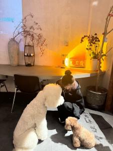 草莓声明