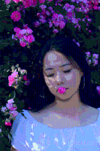 超爱拍的张张