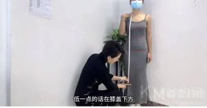 青禾