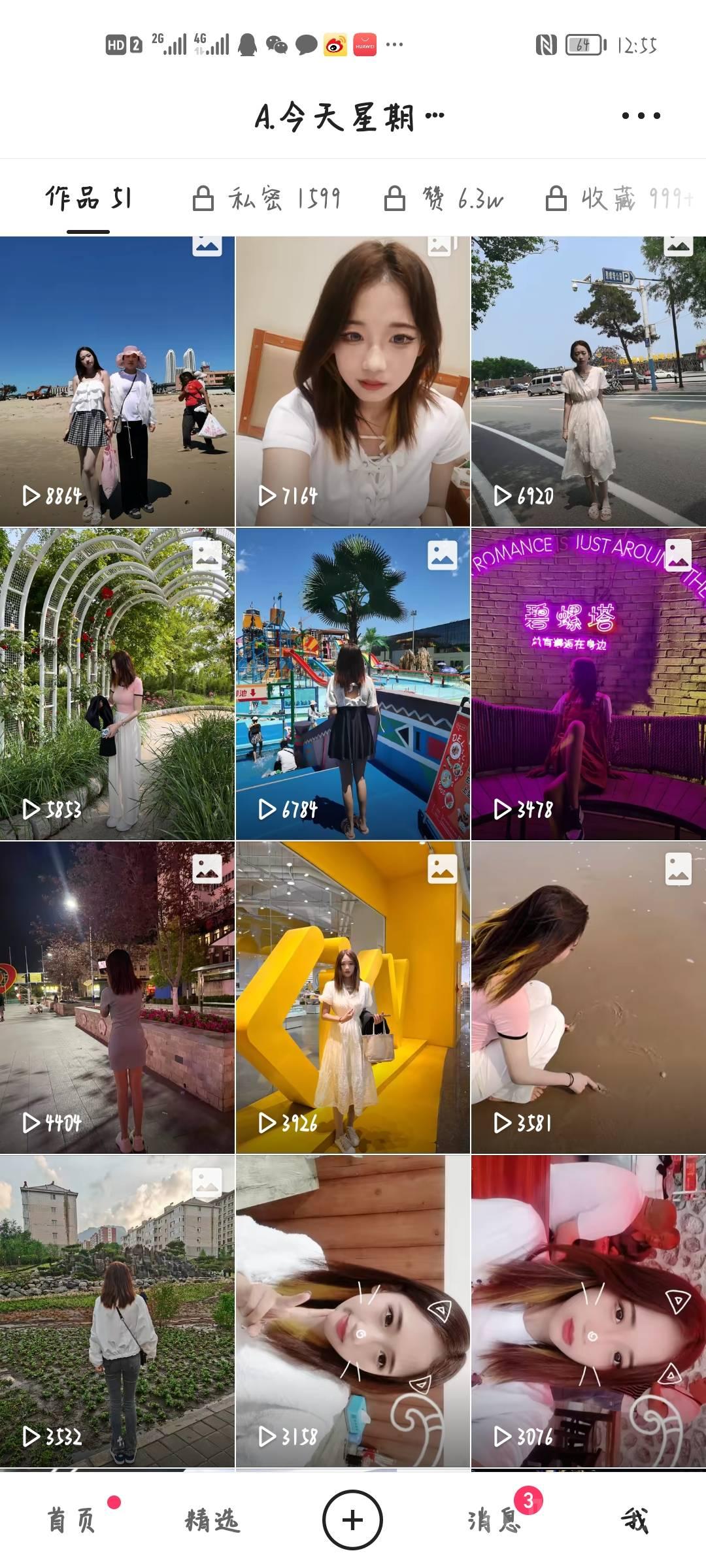 作品图 5