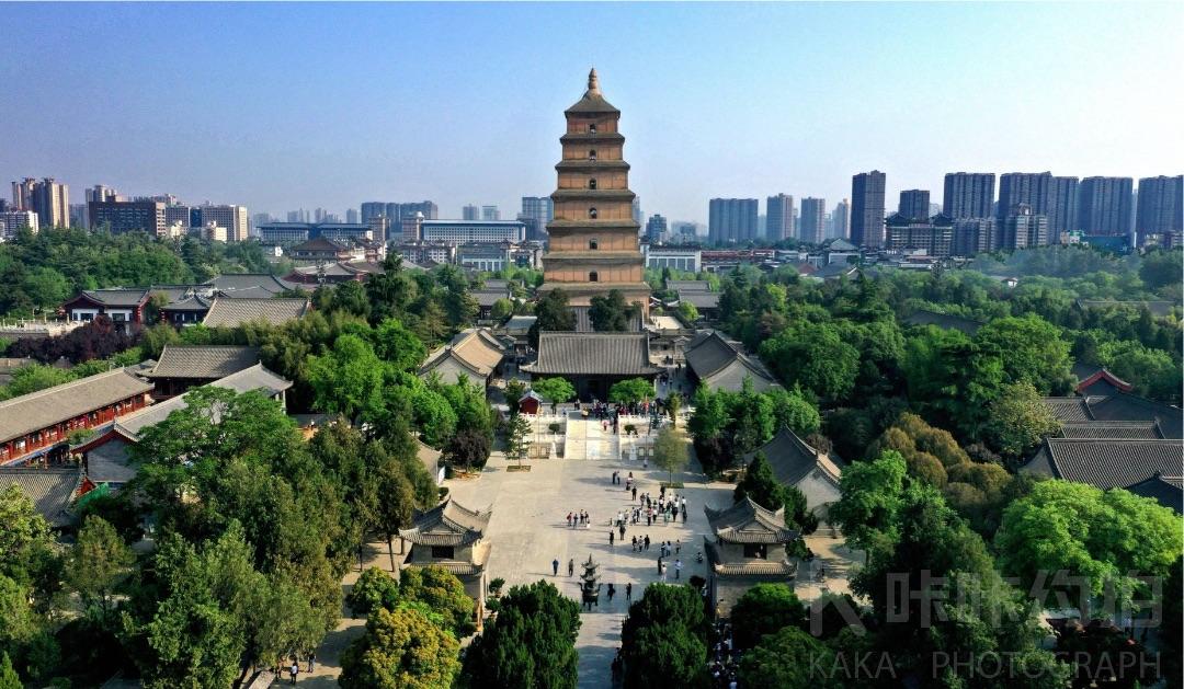 场地图 3