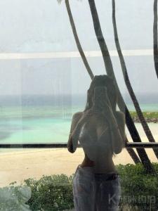 酱酱