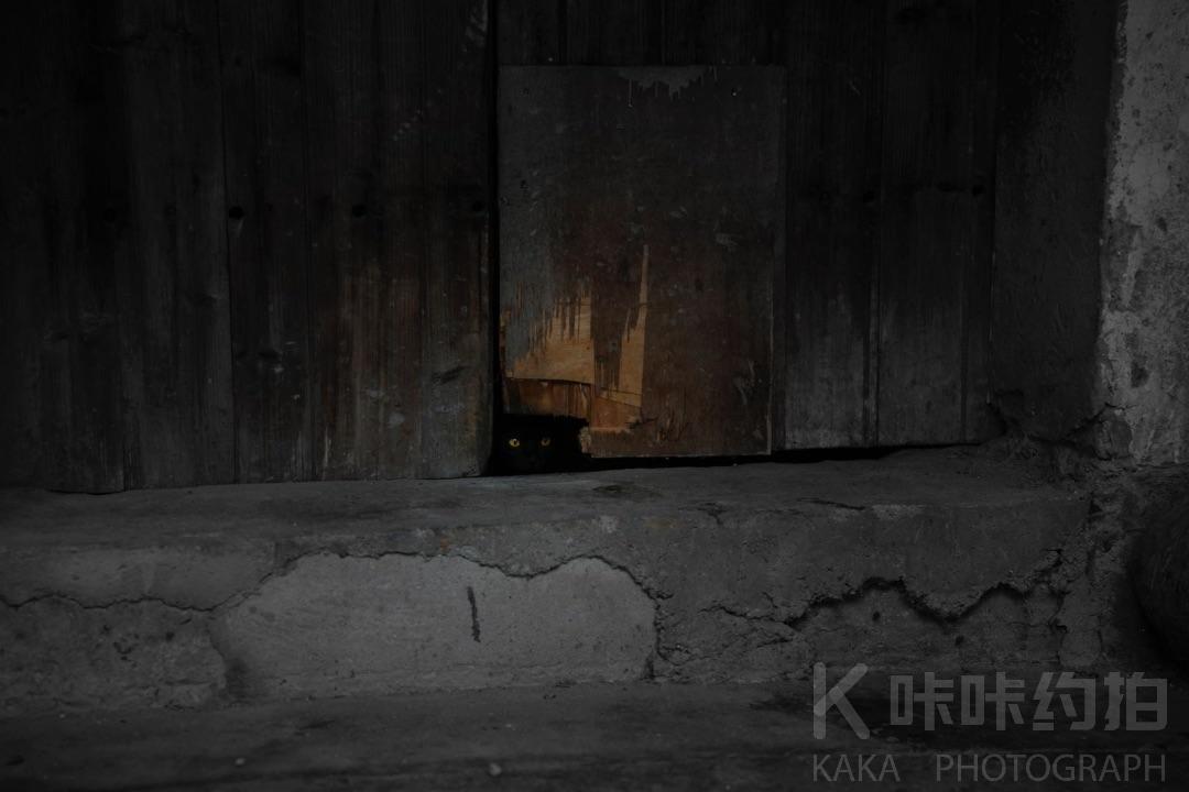 作品图 2