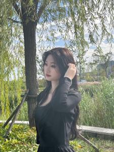 书辞
