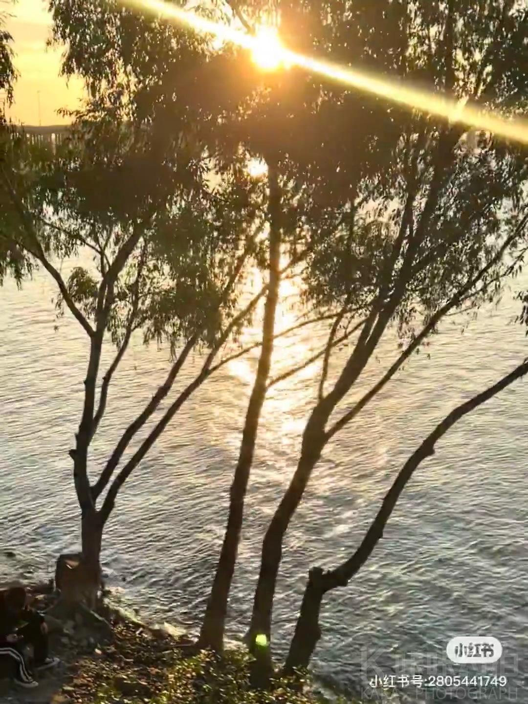 场地图 6