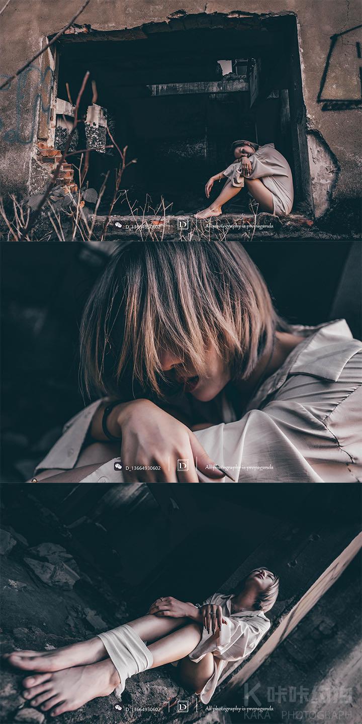 📷、  D