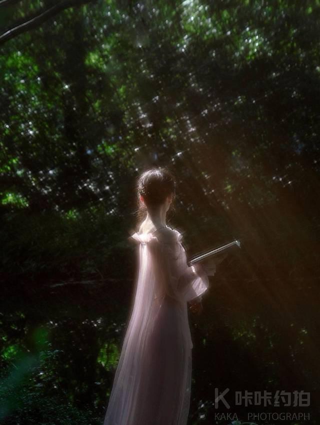 作品图 5
