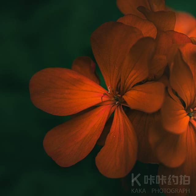 作品图 3