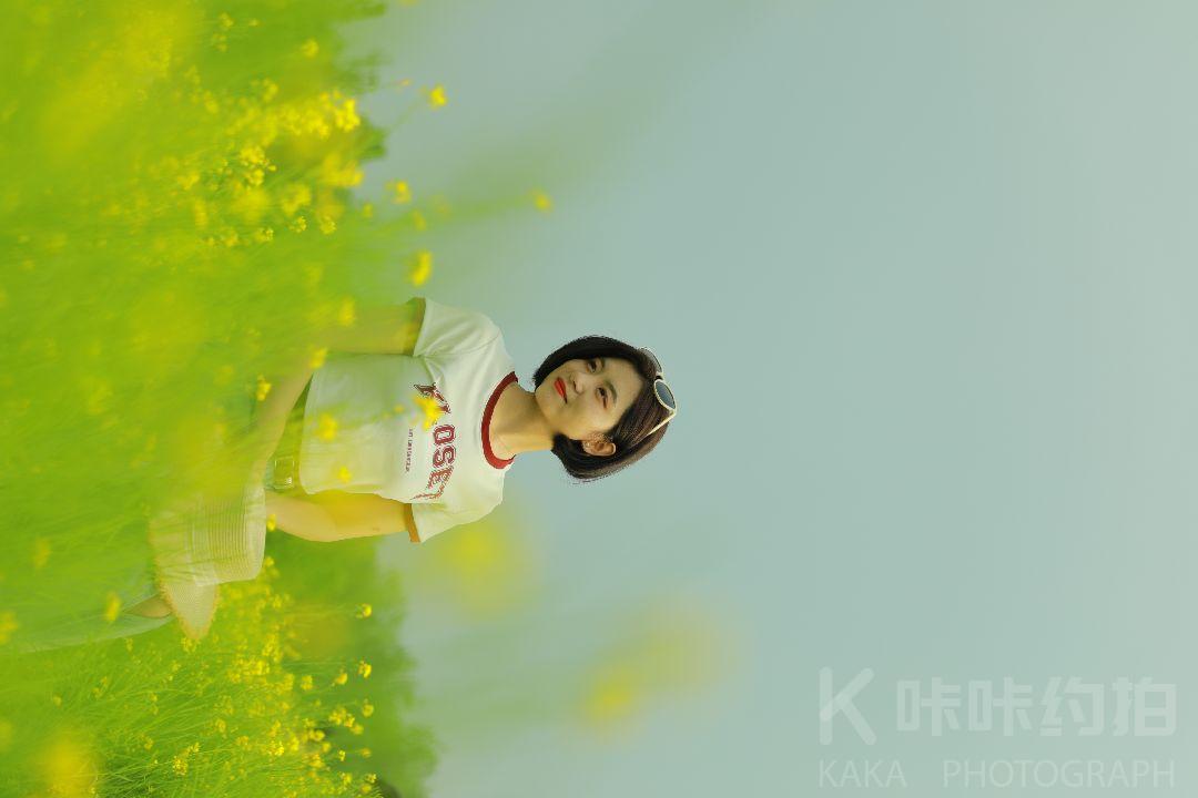 作品图 6