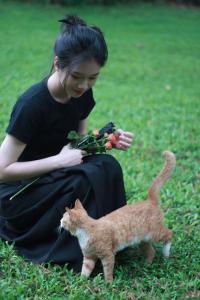 吃不吃菠萝