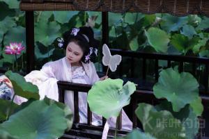 苏打喵
