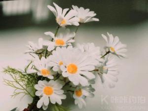 酒心巧克力