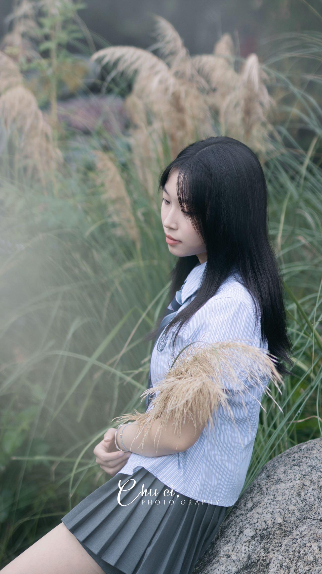 作品图 6