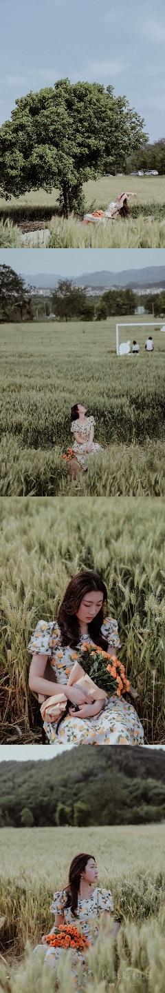 业余小趴菜