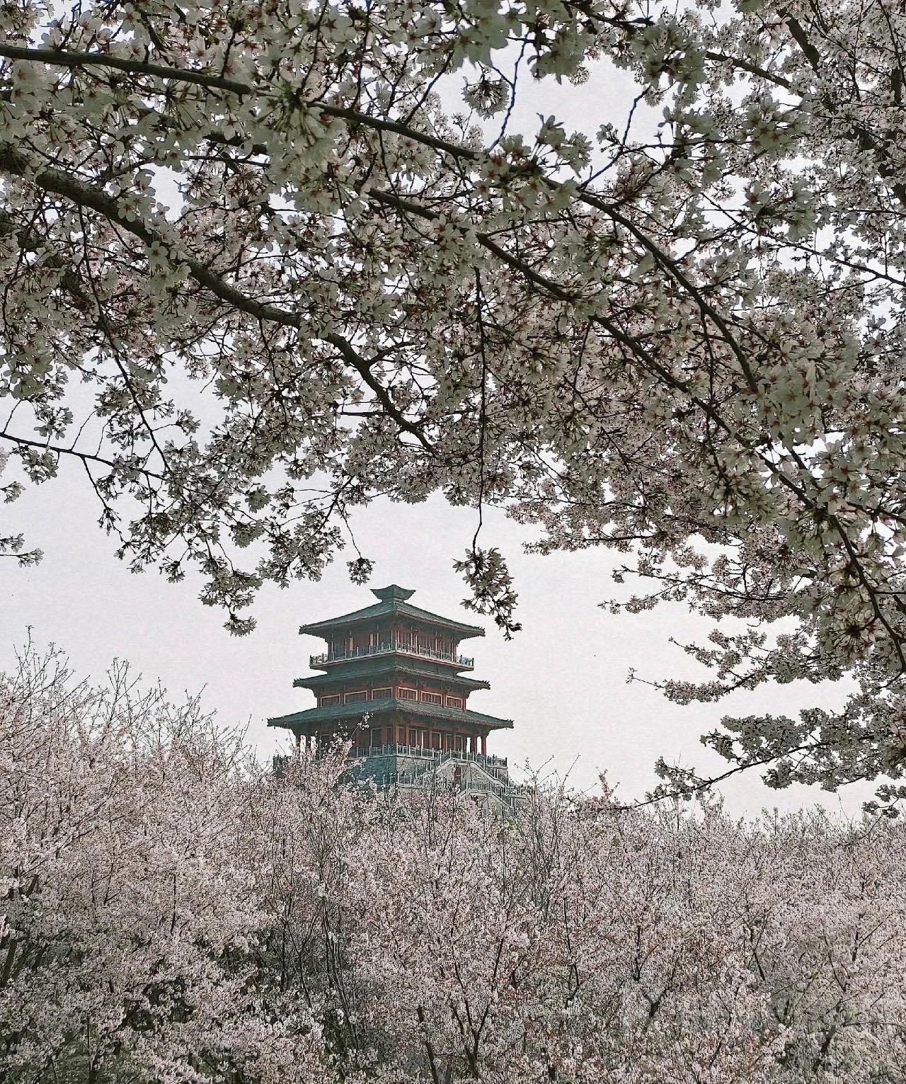 场地图 4