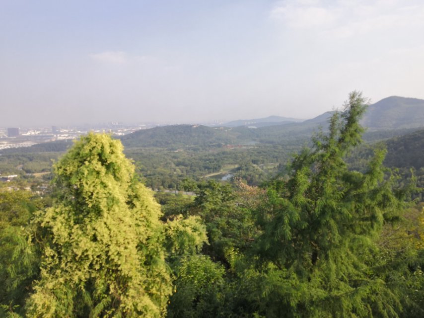 场地图 6
