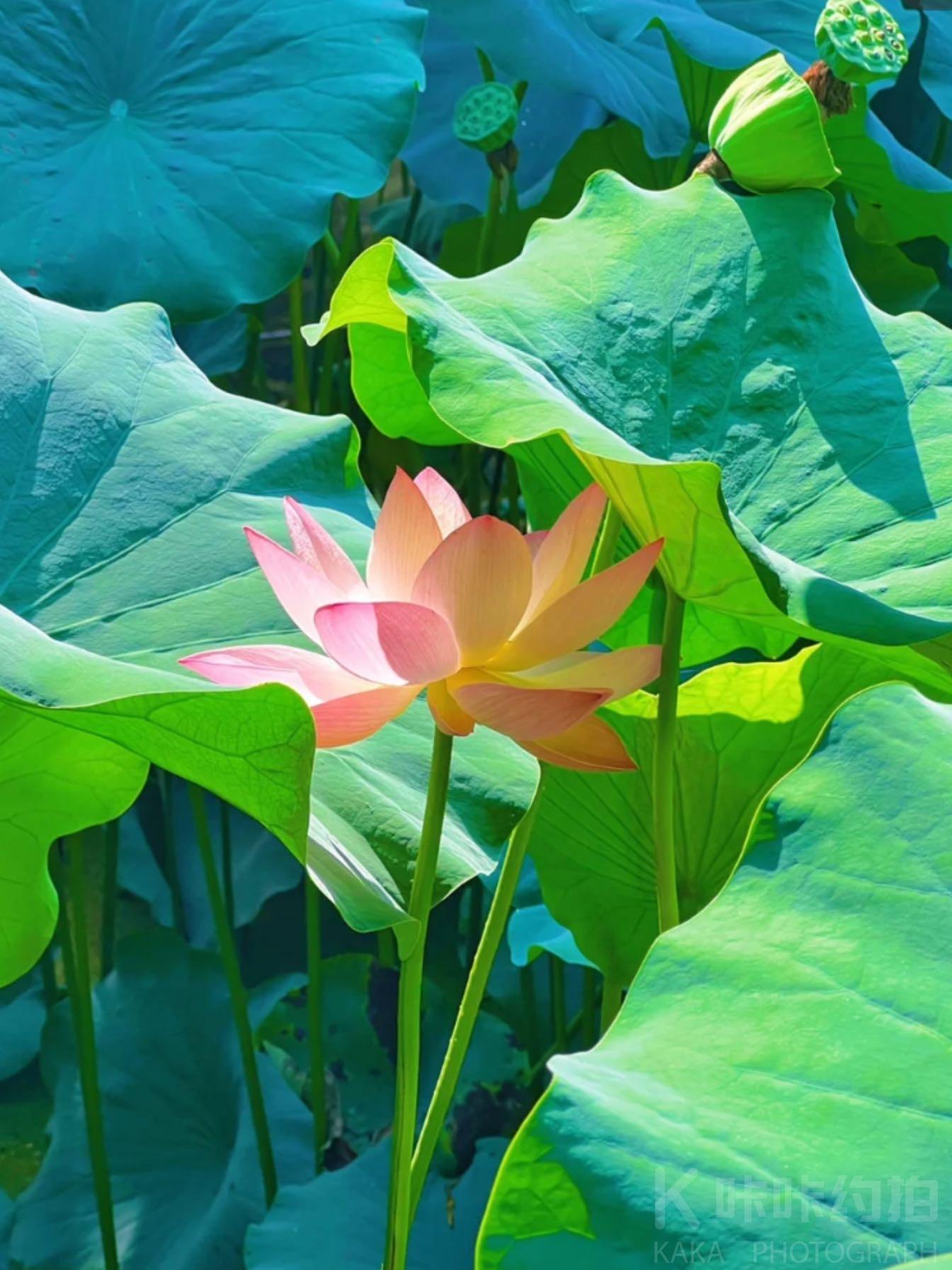 场地图 3