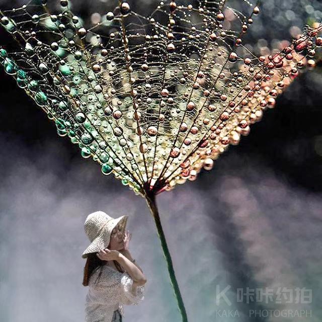 作品图 1