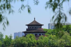 可乐加冰