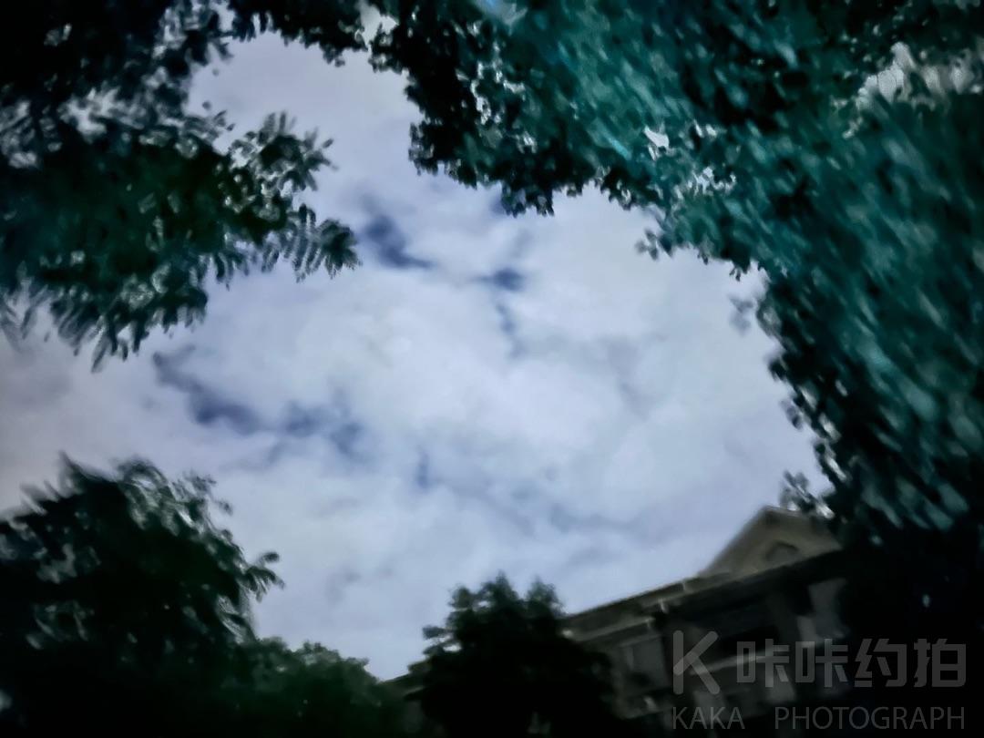作品图 5
