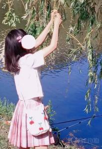 桉悸