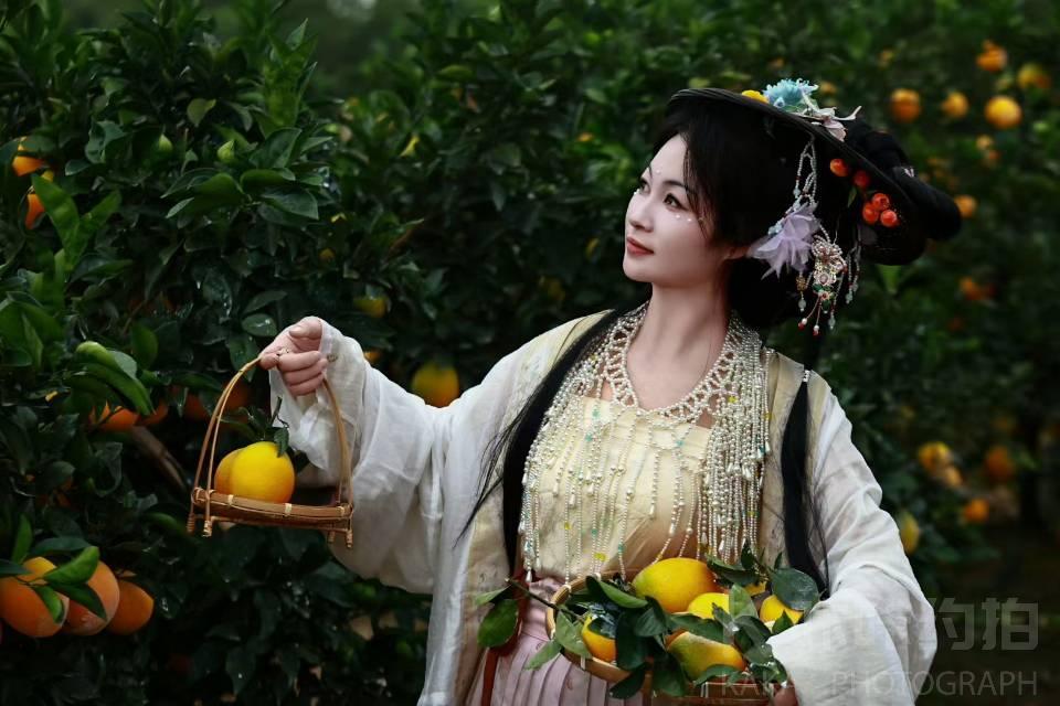 作品图 9