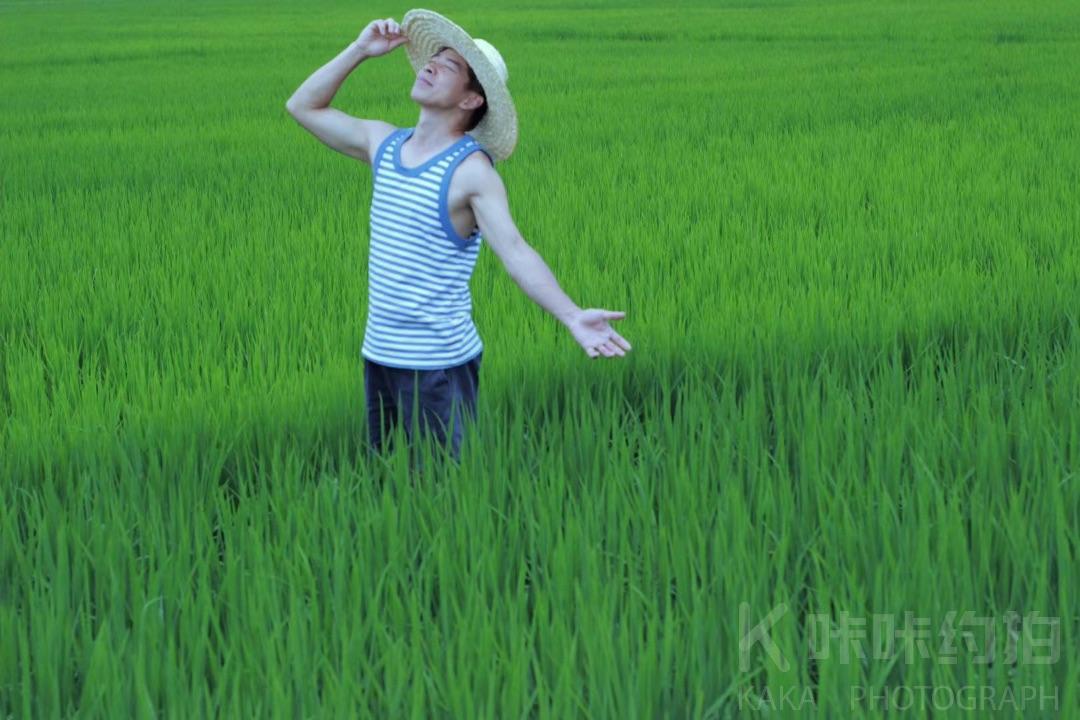 作品图 8