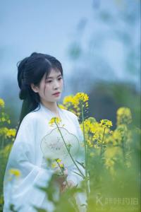 菲米