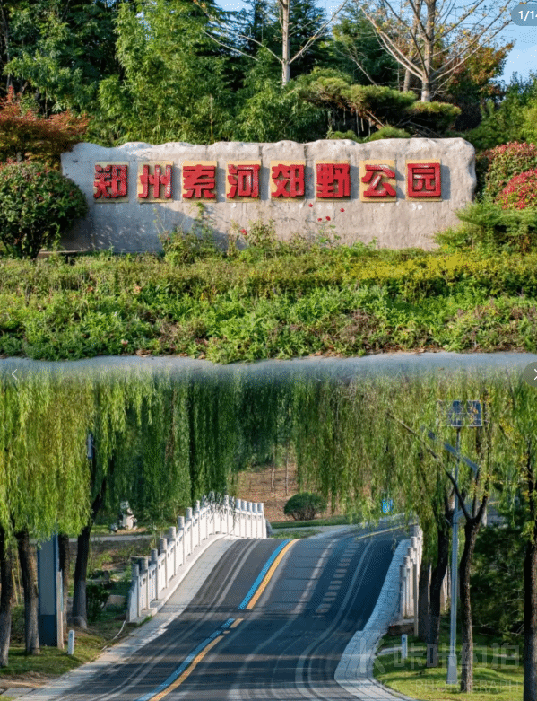 场地图 3