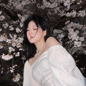 春不晚