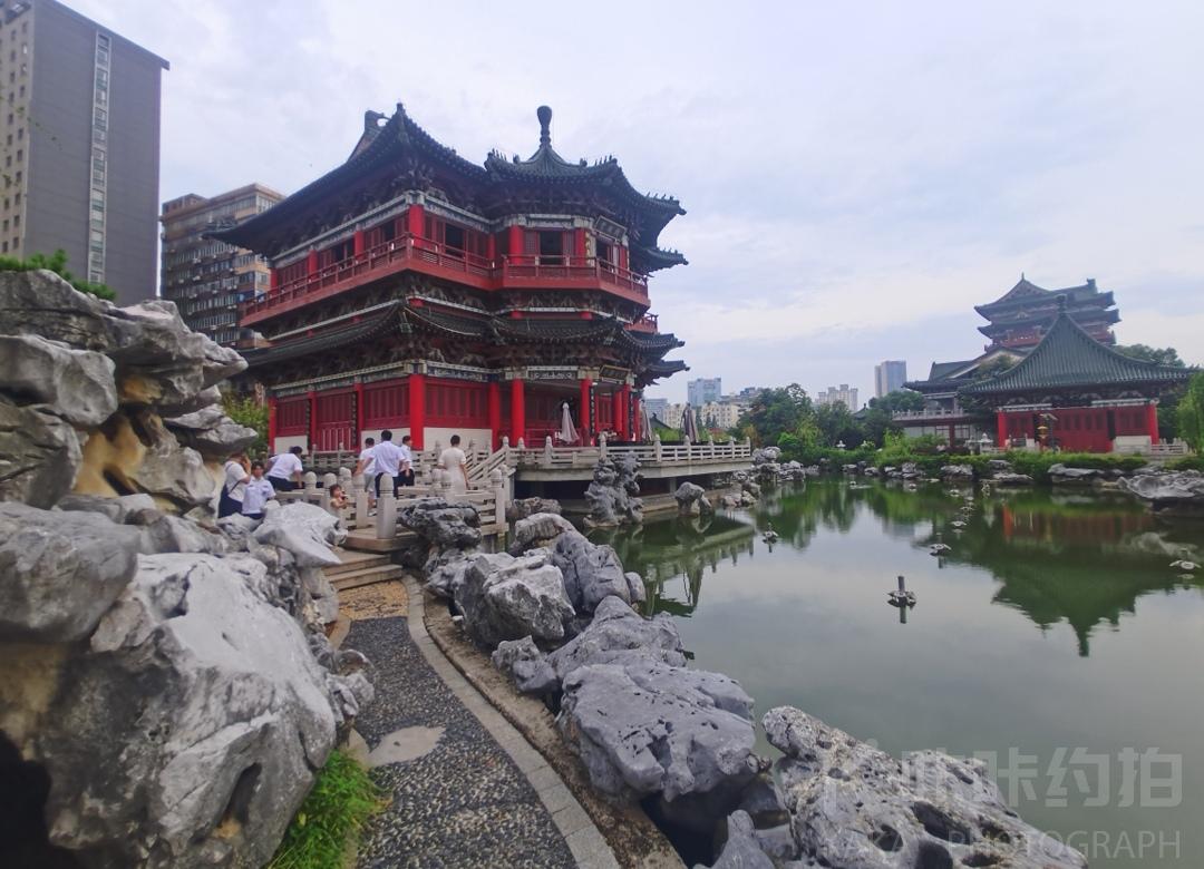 场地图 2