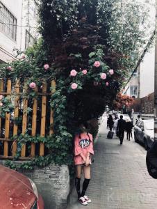 清晨